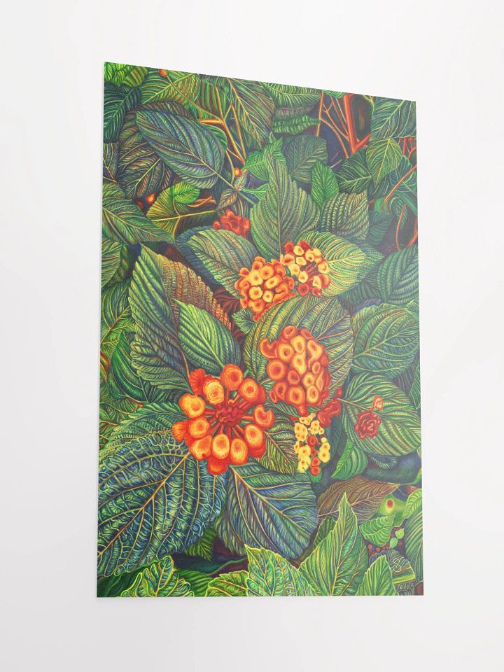 Vibrant Matte Poster Print - Bright Orange Flowers product image (2)