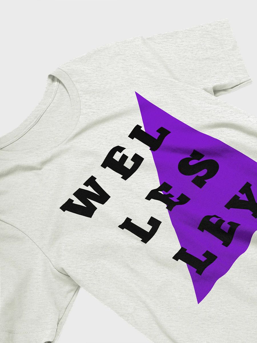 Reunion Tee with Retro Wellesley Flag product image (3)