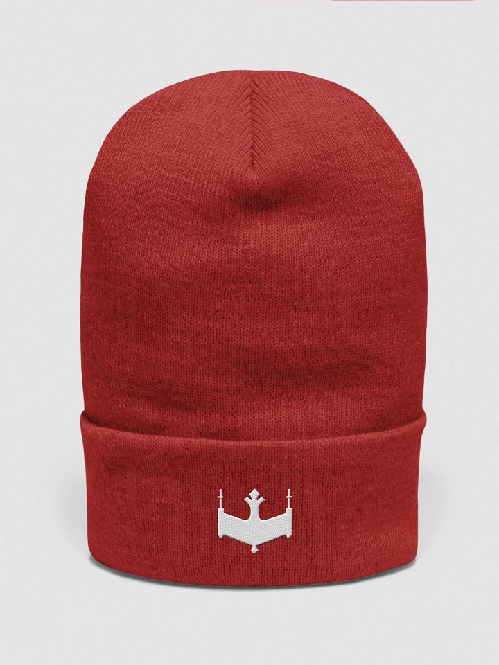 Logo Beanie product image (6)