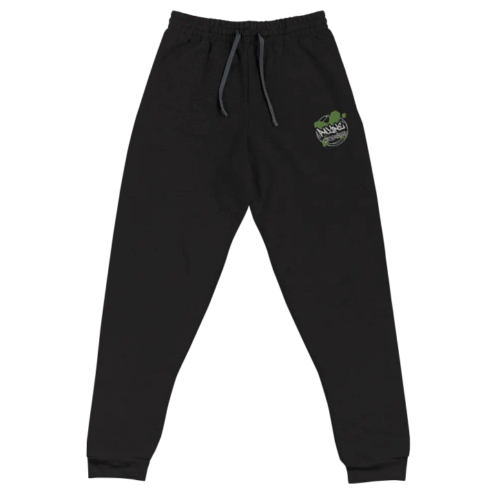PAYNFUL JOGGERS product image (1)