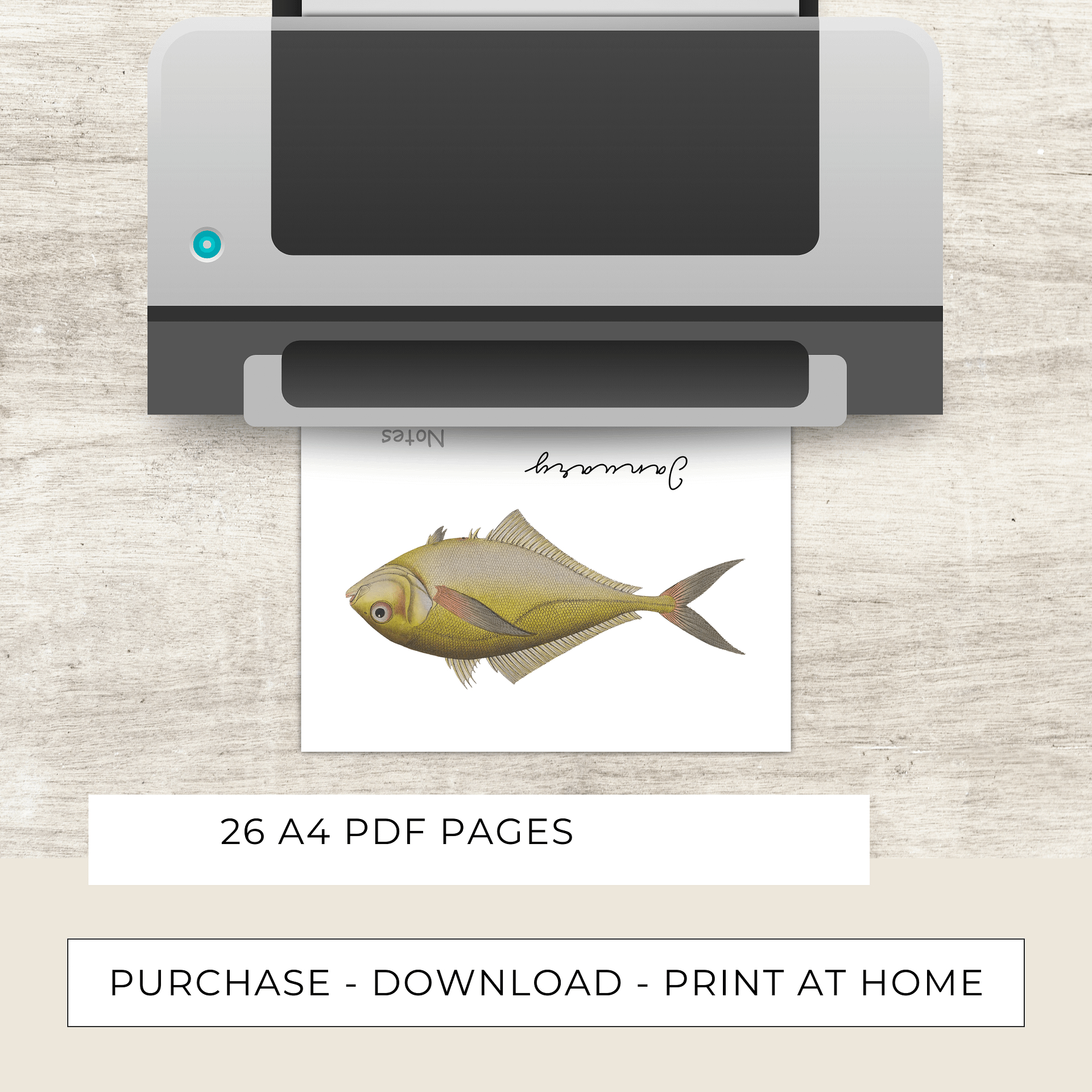 2025- 2026 PDF Calendar: Ocean Life product image (8)