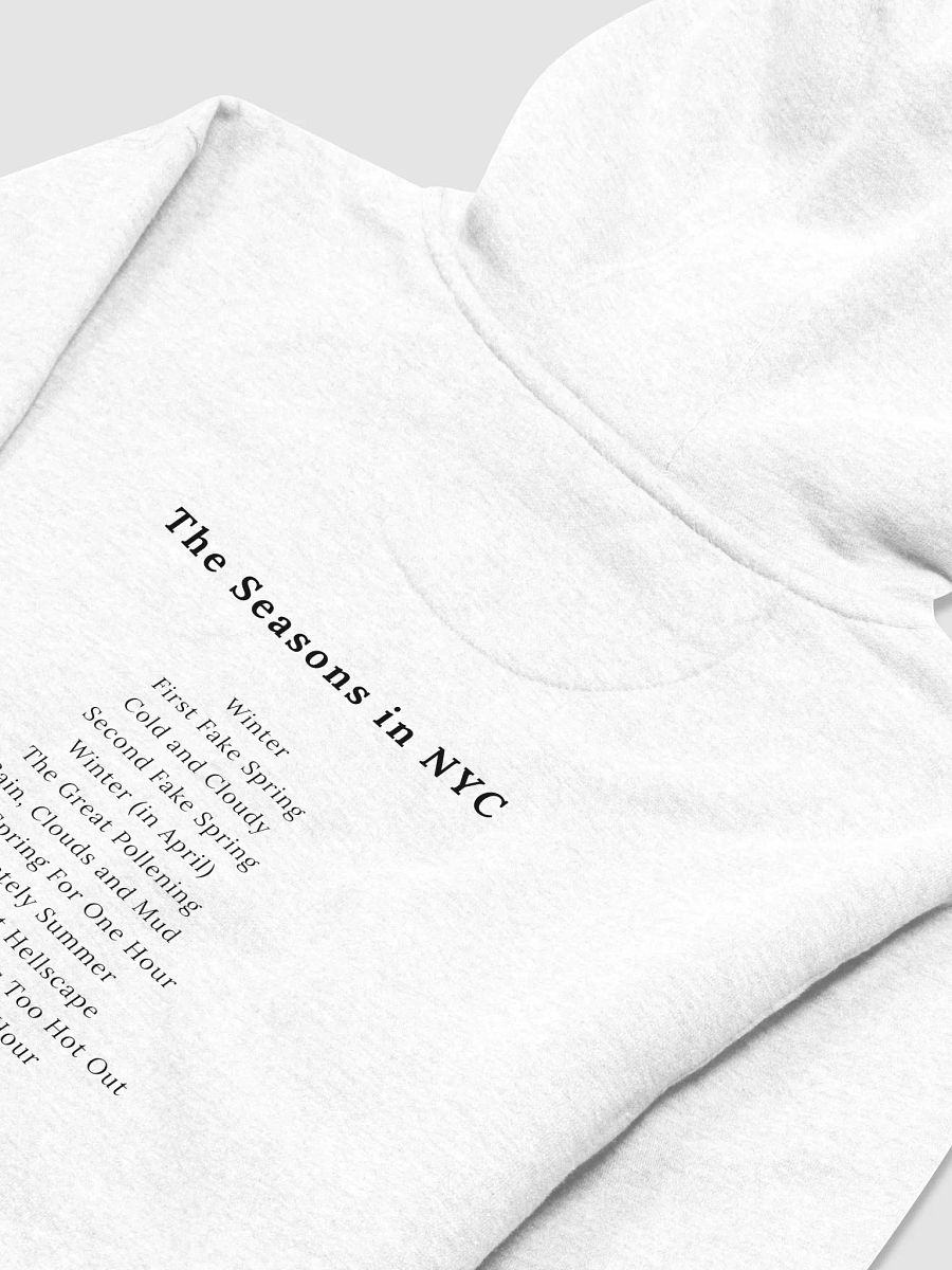 NYMW Seasons Hoodie product image (4)