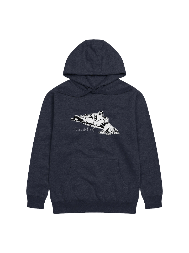 It's a Lab Thing - Cotton Hoodie product image (17)