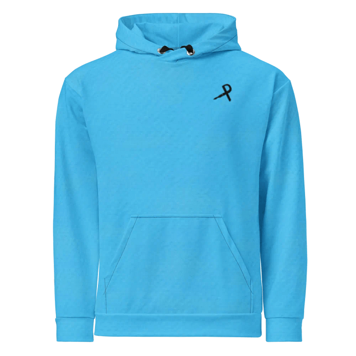 Sky Blue Hoodie product image (1)