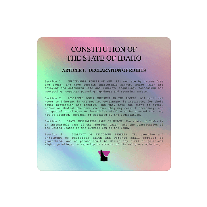 "DECLARATION OF RIGHTS" light holo sticker product image (2)