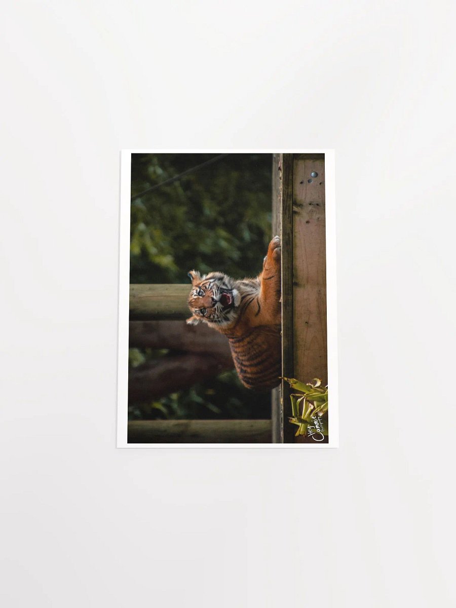 The Happy Cub - Print product image (4)