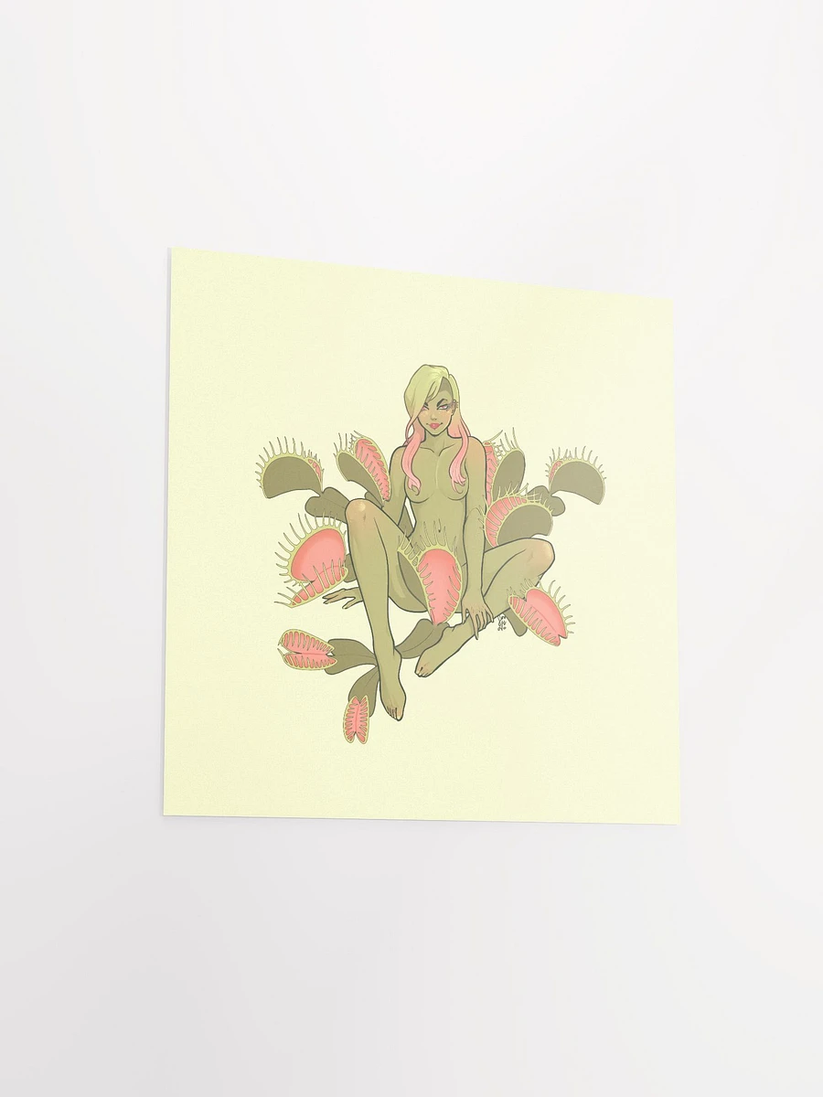 Dionaea Print product image (3)