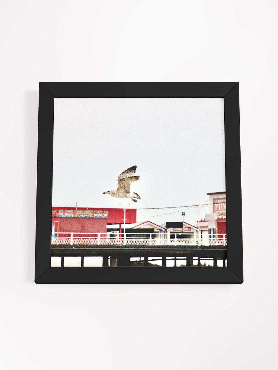 Young Gull Flying over a Fun Fair Framed Print product image (54)
