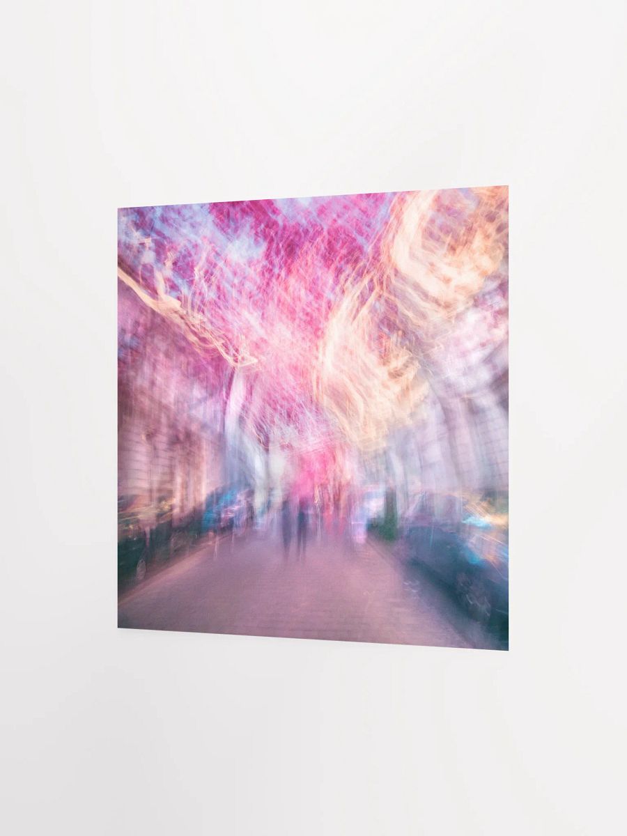 Pink Sky - Cherry Blossoms - Print product image (3)