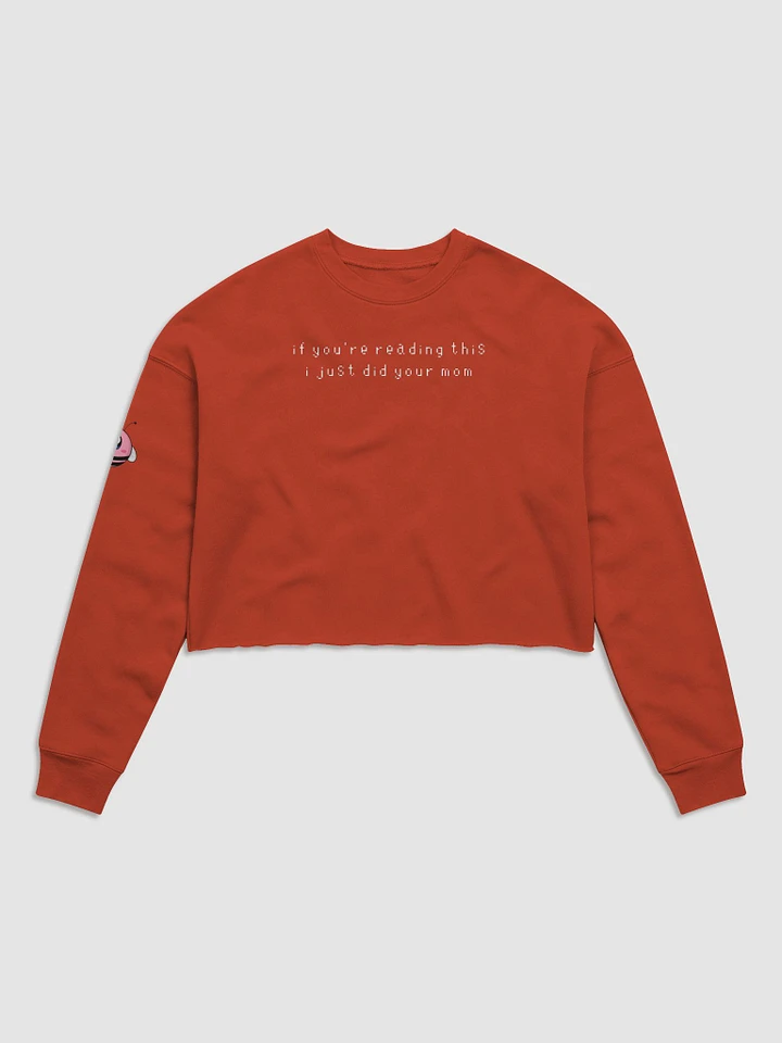 Did Your Mom Crop Sweater product image (2)