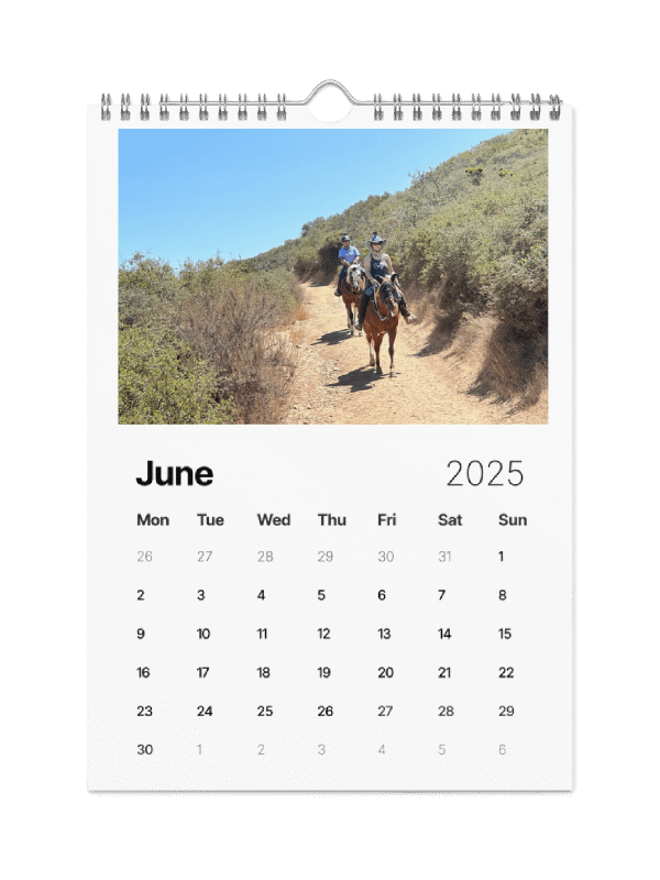 2025 Sorrel Calendar product image (6)