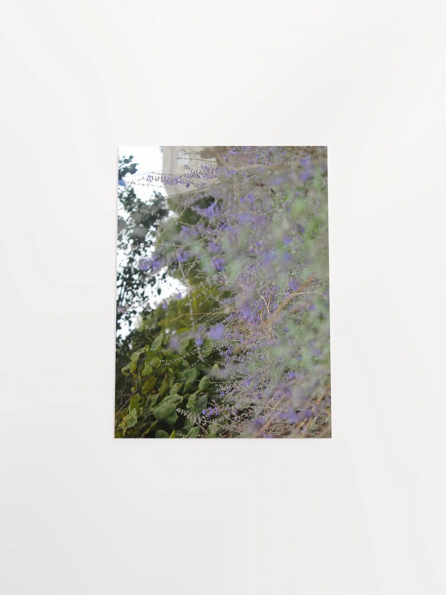 A Study in Flowers 16 product image (38)