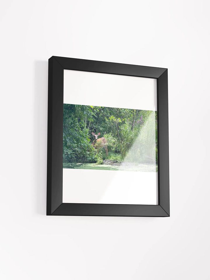 Deer In The Wild print product image (15)