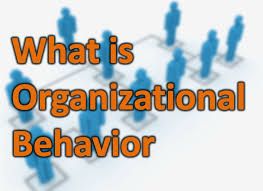 Organizational Behavior Topic summaries product image (1)