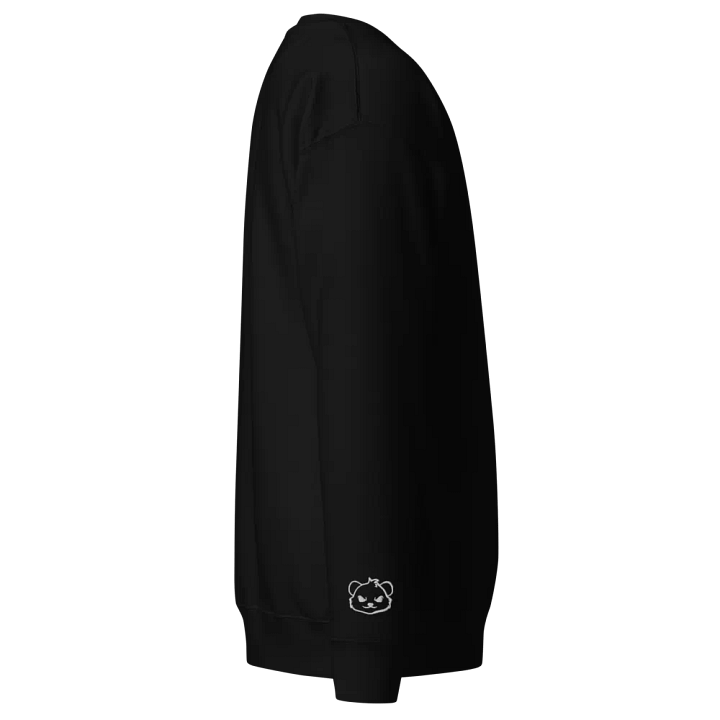 AW Embroidered Premium Sweatshirt product image (2)
