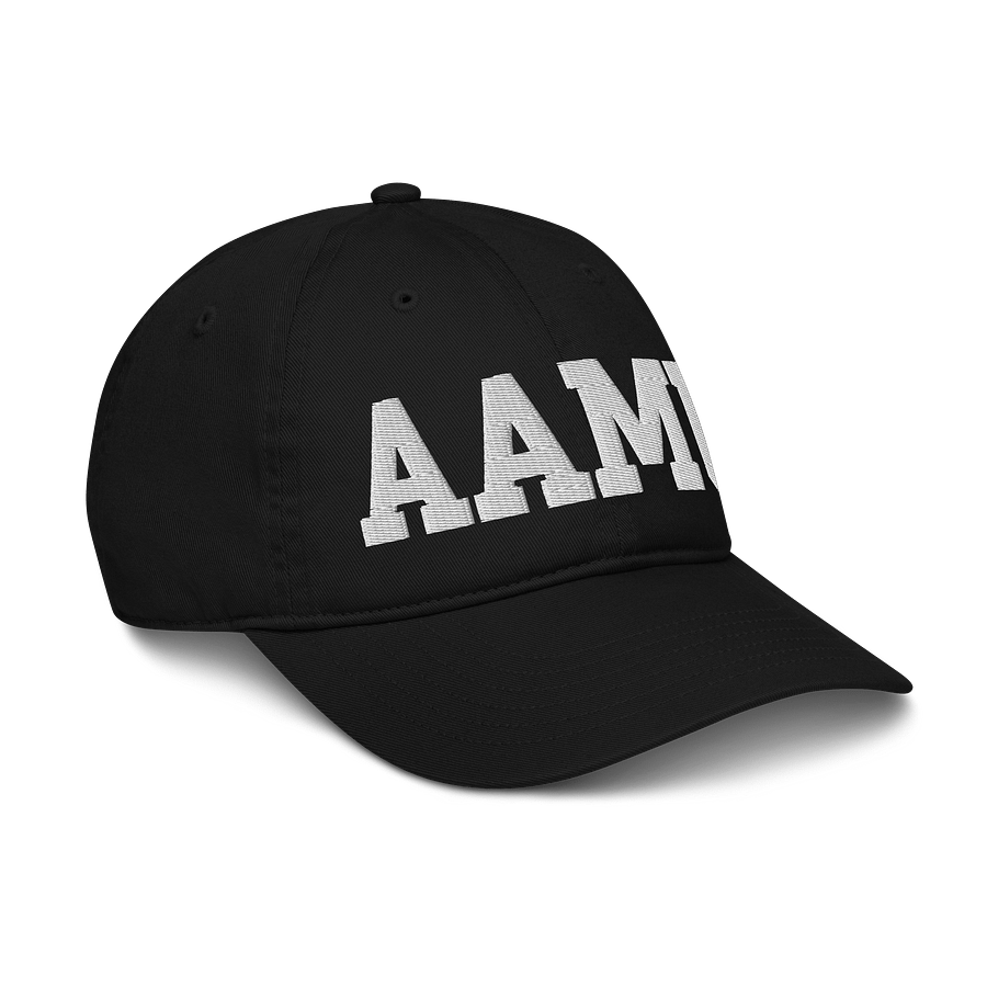 AAMU Organic Dad Hat by Econscious product image (6)