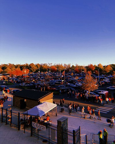 My one Virginia Tech football game of the year. It was so cold, but I stuck it out. Yay, sports!