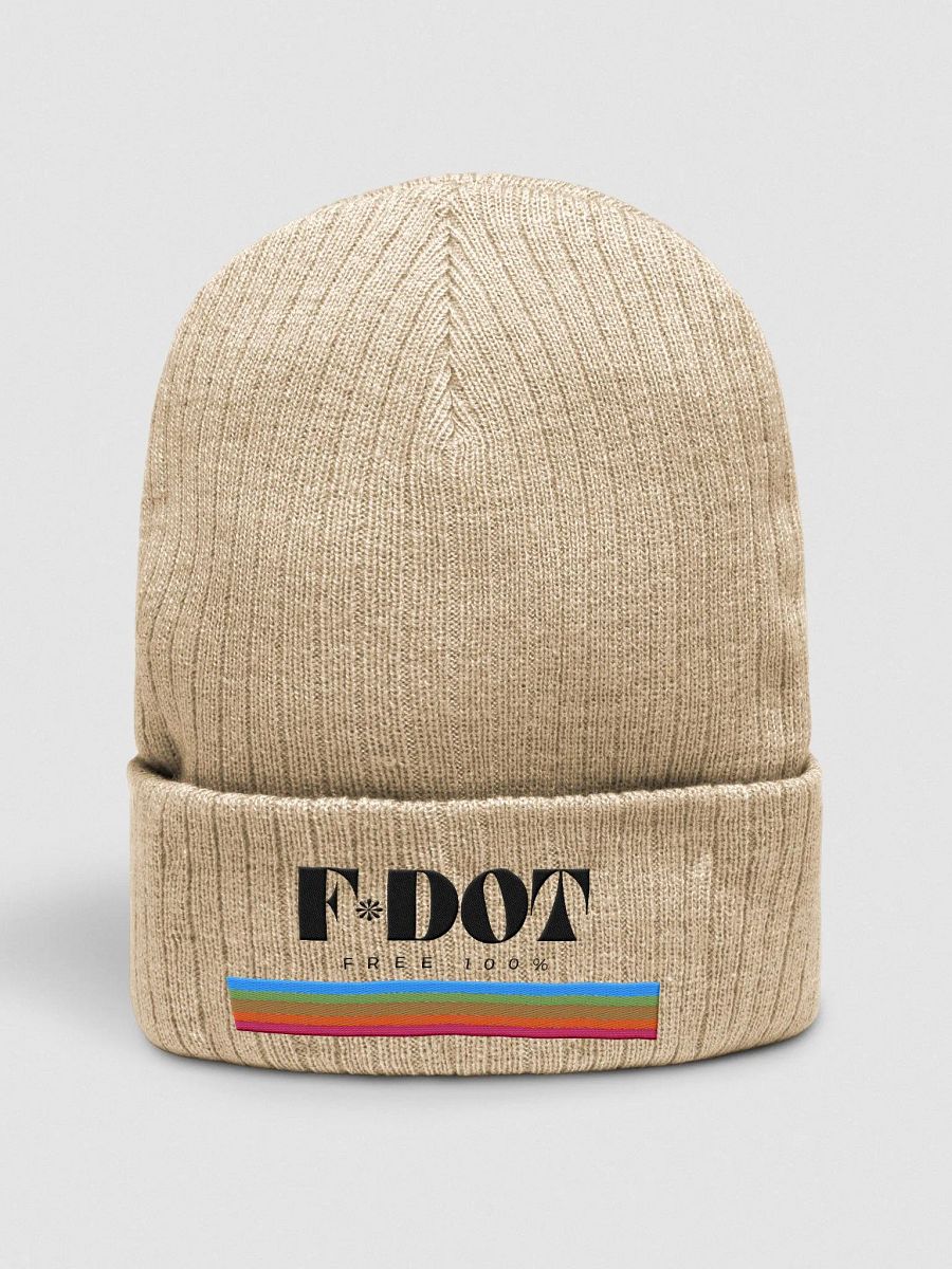 Idiot-Proof Beanie product image (1)