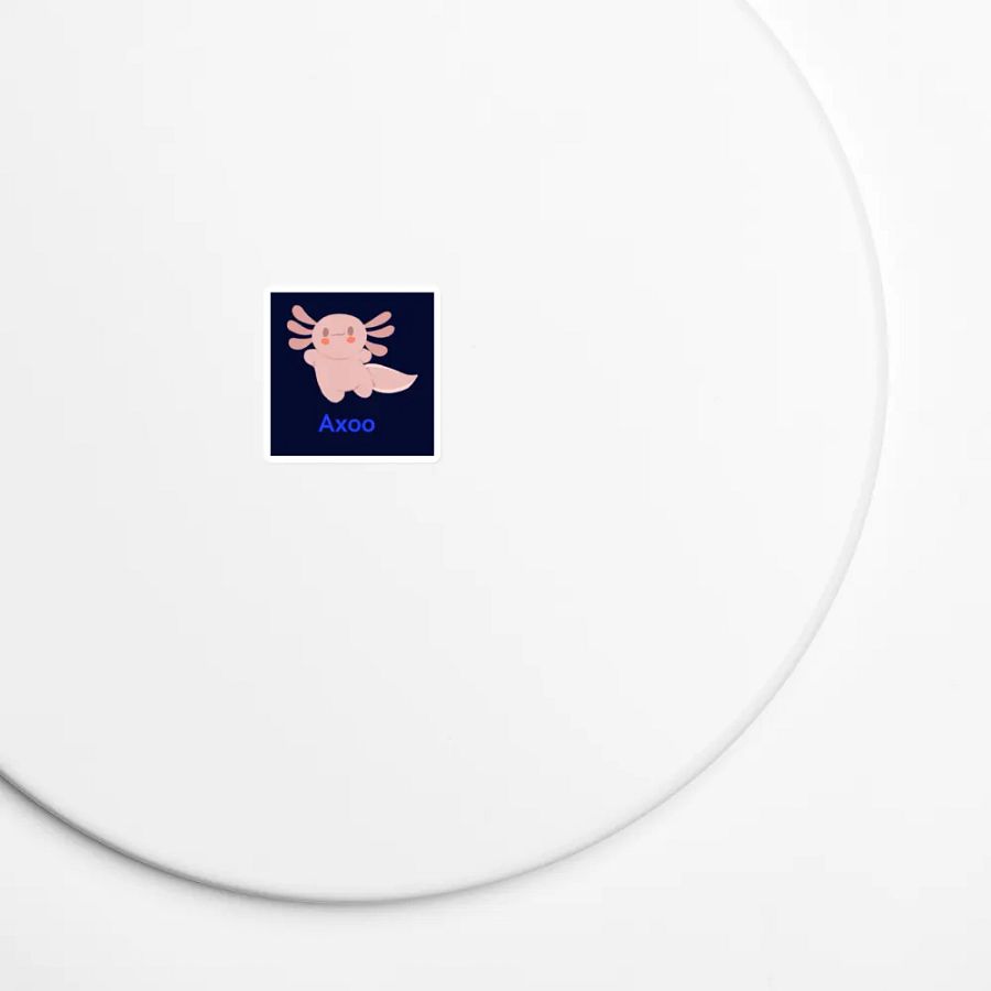 aimant AXOO product image (7)