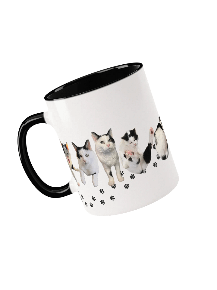 Limited Edition Bun Birthday Mug 🎂 product image (1)