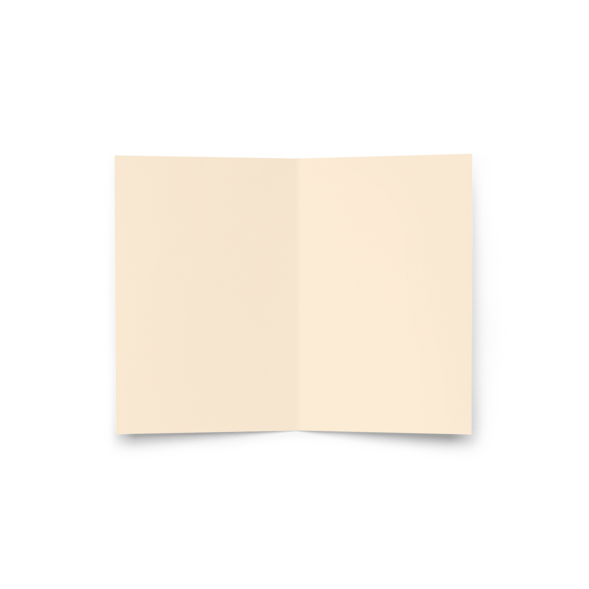 Diversity Card product image (7)