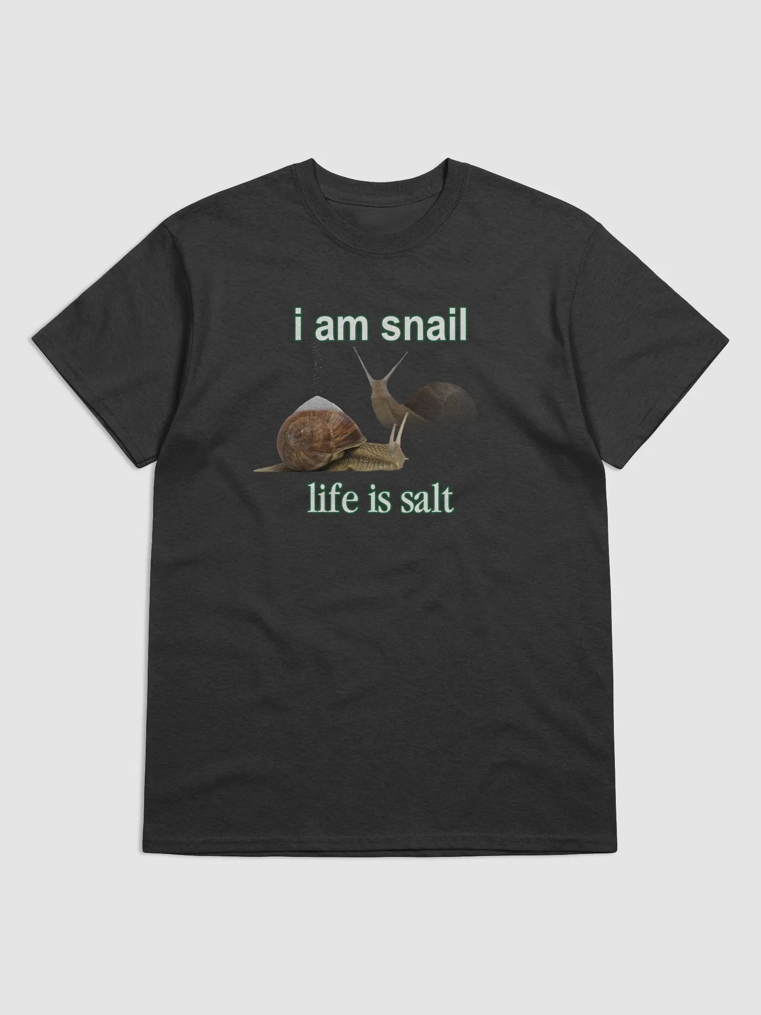 I am snail, life is salt T-shirt product image (13)
