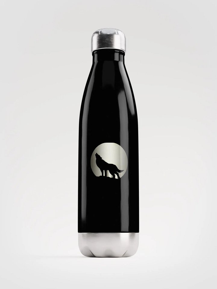 ChillWave Stainless: Double-Walled Steel Bottle product image (1)