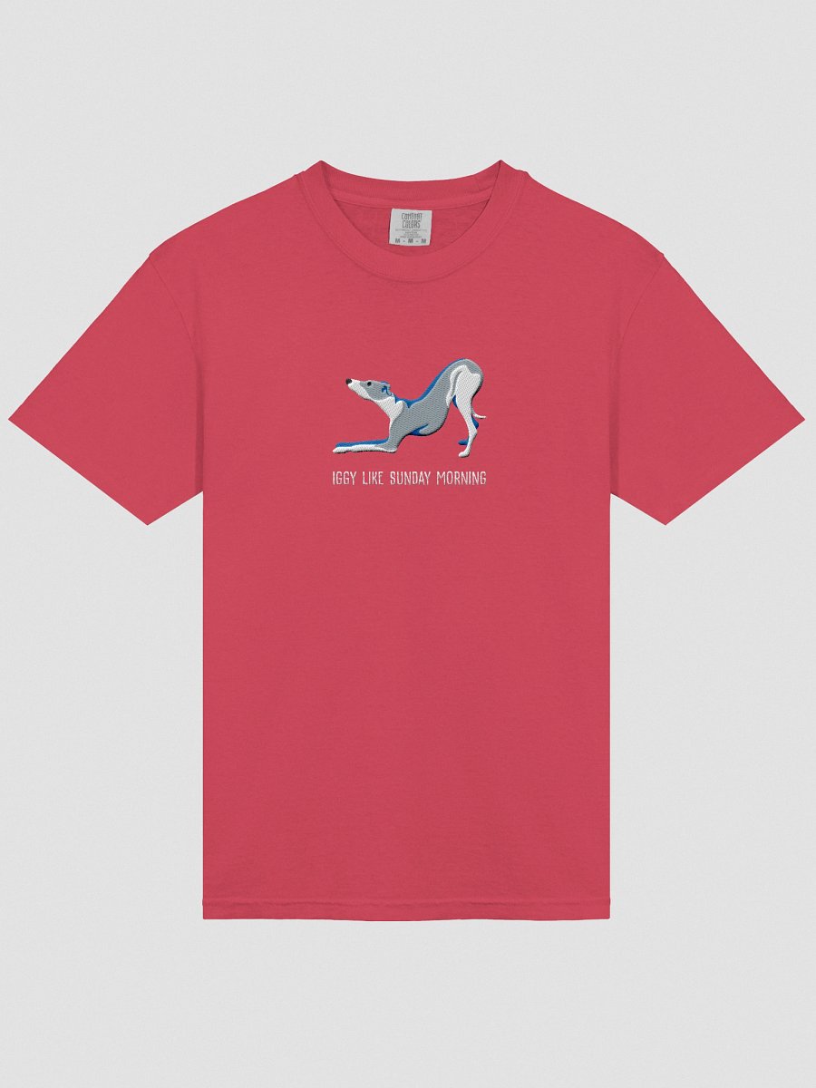 Iggy Like Sunday Morning T-Shirt(Embroidered) of an Italian Greyhound(Blue & White) product image (53)