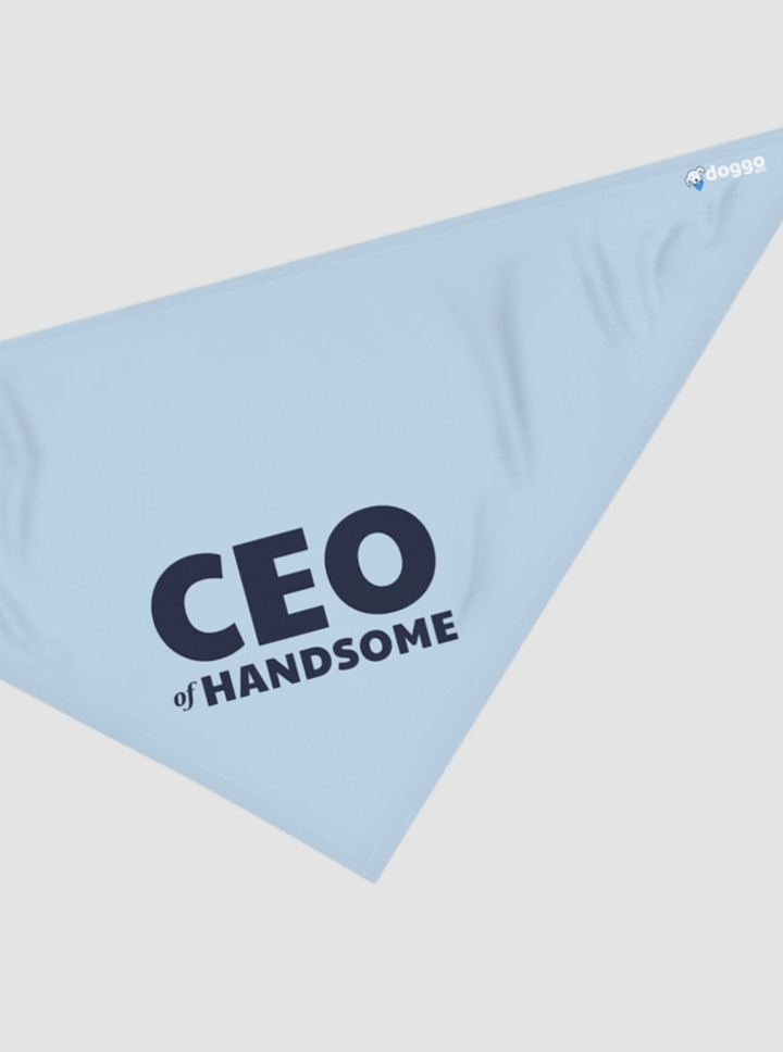 CEO Of Handsome product image (1)