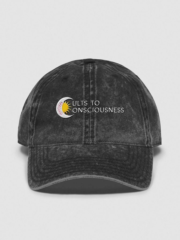 Cults to Consciousness product image (1)
