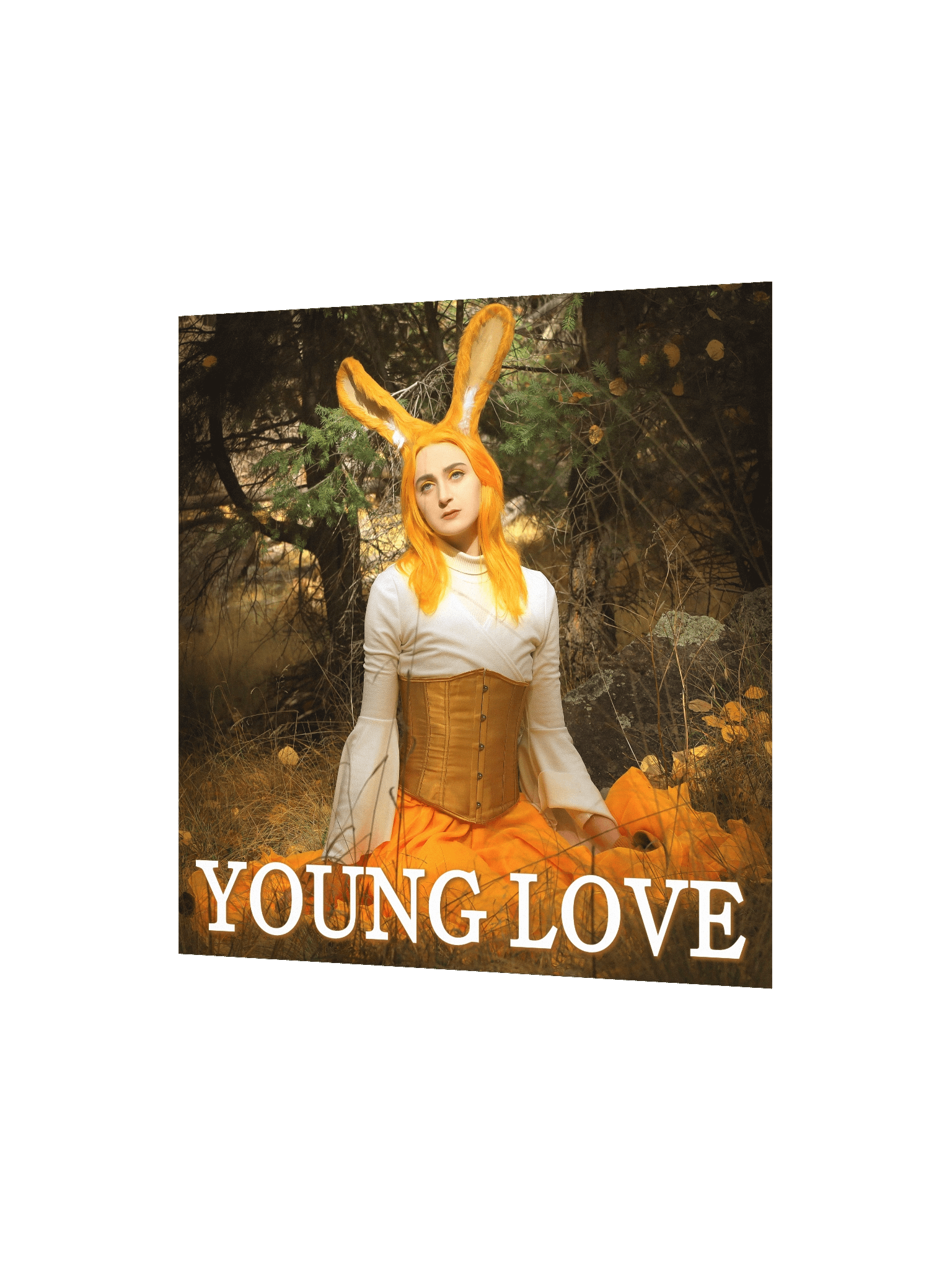 Young Love Poster [4 of 4] product image (2)