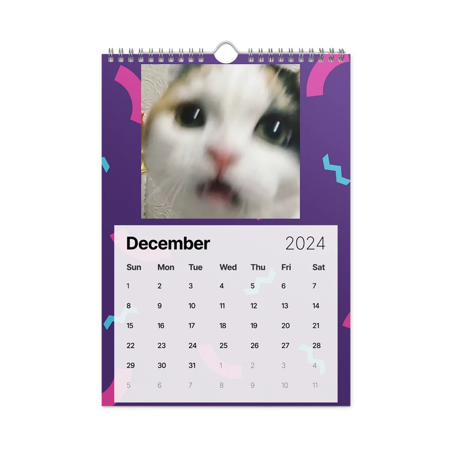 Wall Calendar (2024): Meme Cats product image (6)