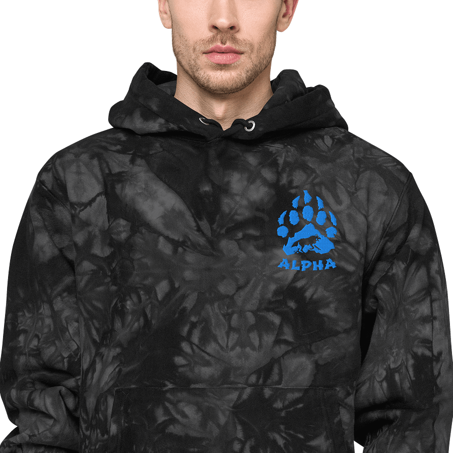 Alpha hoodie product image (2)