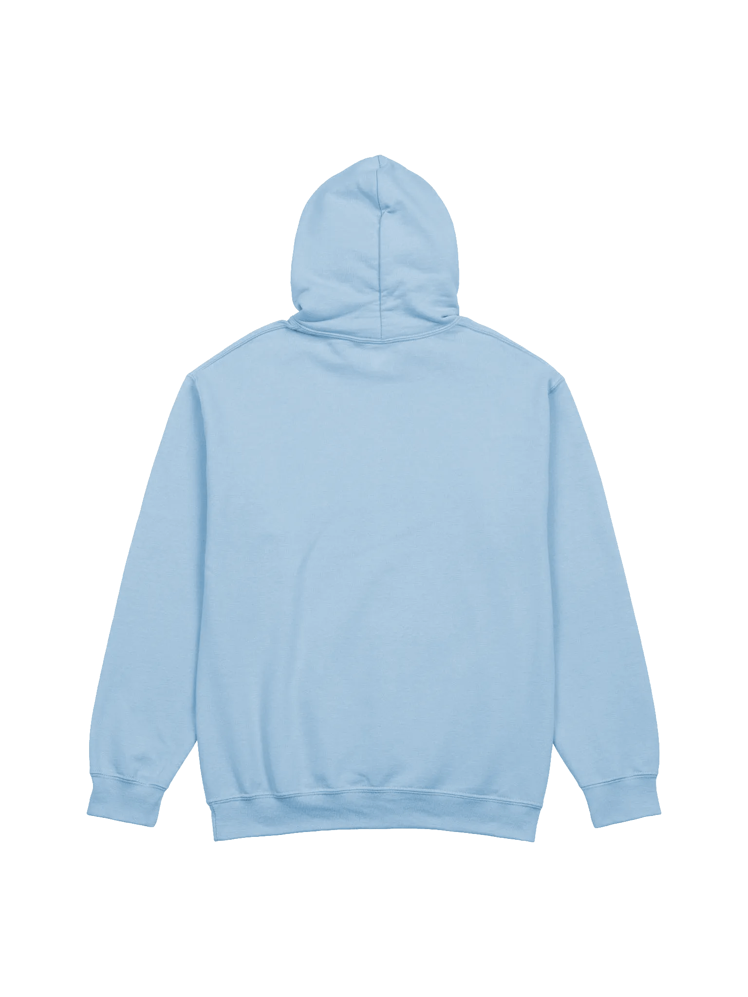 "Friendship" BIG FLOPPA x CAPYBARA HOODIE product image (4)