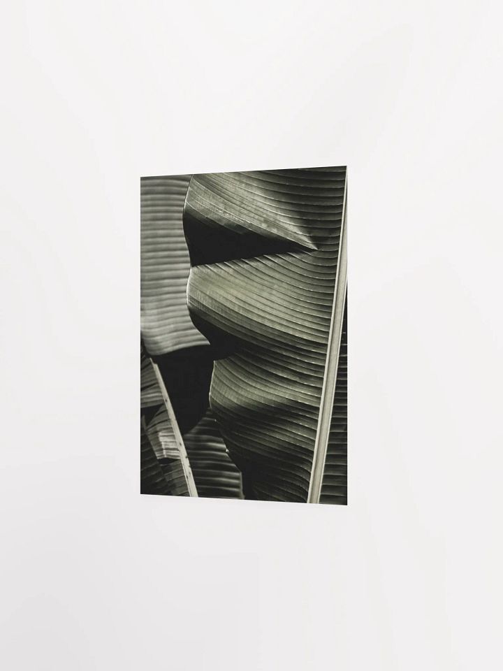 Banana Leaves Enhanced Matte Poster product image (15)