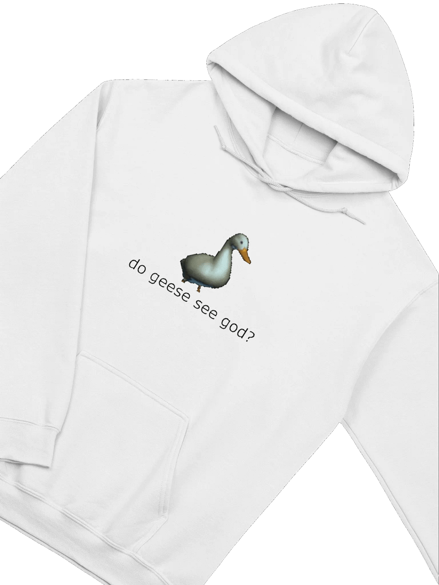 do geese see god hoodiie product image (3)