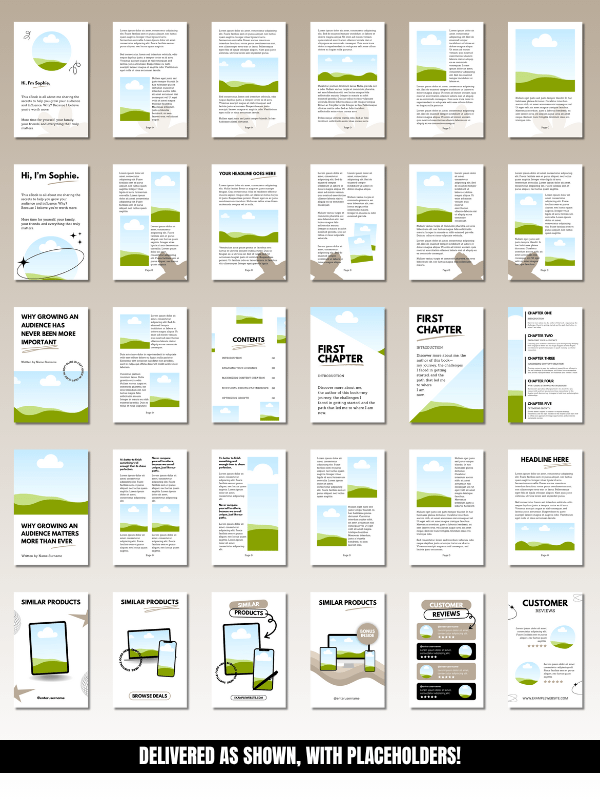 MRR/PLR Editable eBook Template in Canva product image (7)