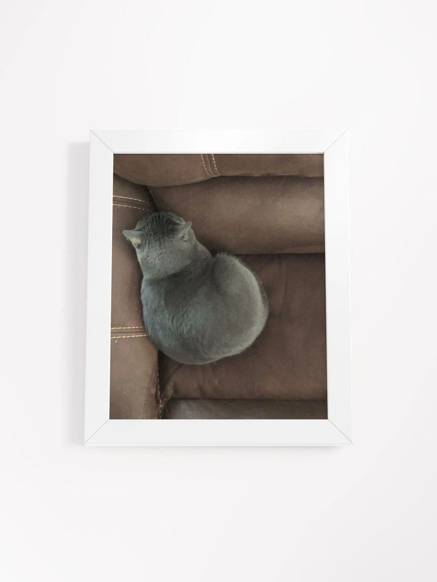 Sansa Kitty Couch Corner High Quality Matte Poster product image (1)