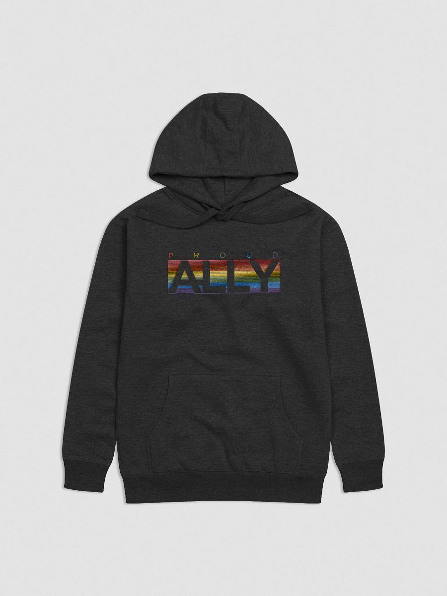 PROUD ALLY Premium Hoodie product image (7)