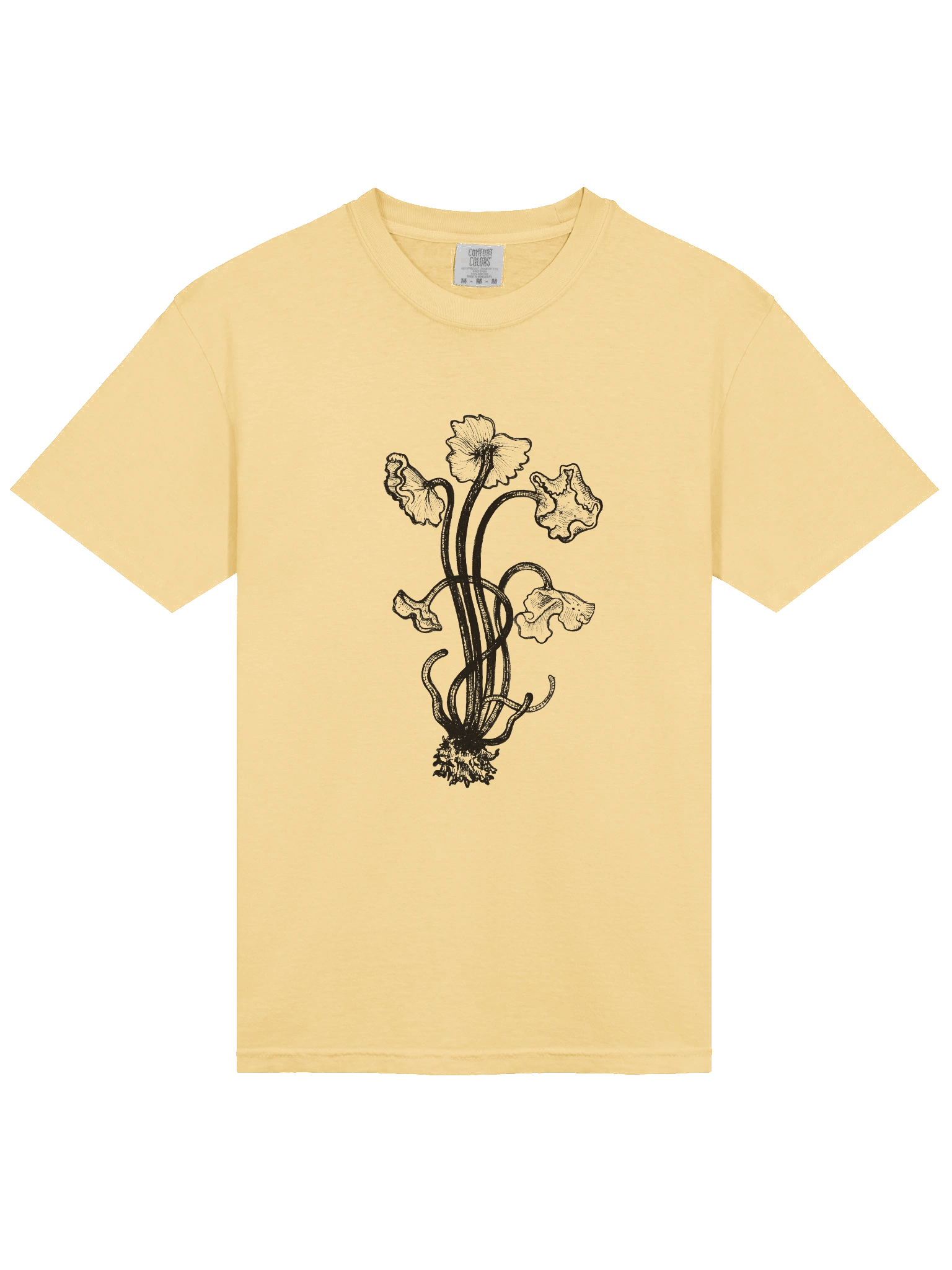 Brown Chanterelle - Print product image (43)
