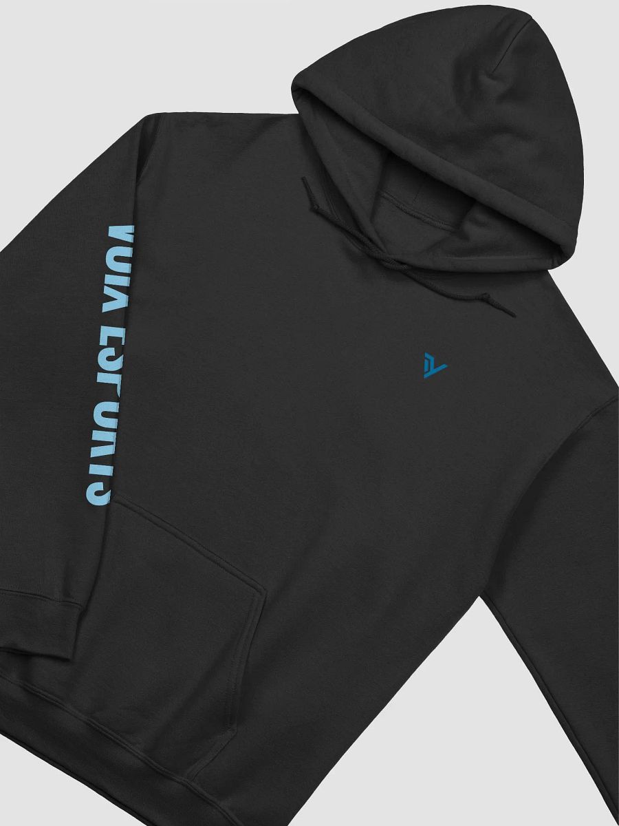 Voix eSports Outlined Hoodie product image (3)