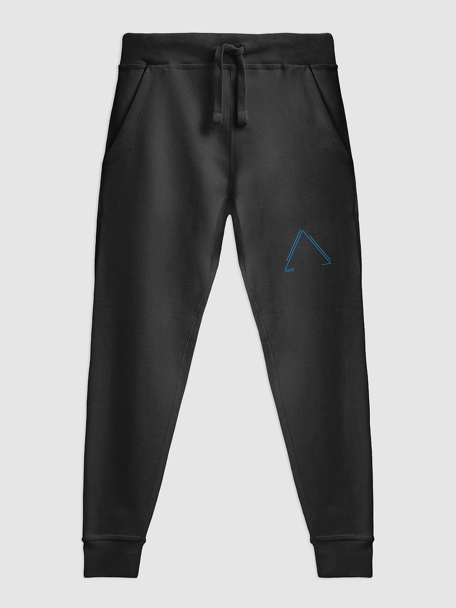 Blue Triangle Fleece Joggers product image (3)