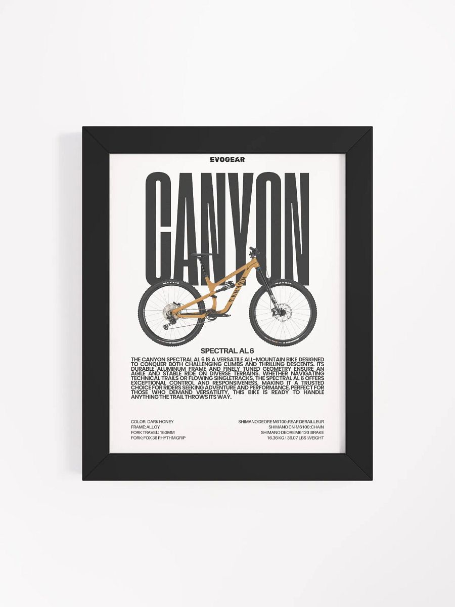 Canyon Spectral AL 6 Frame product image (4)