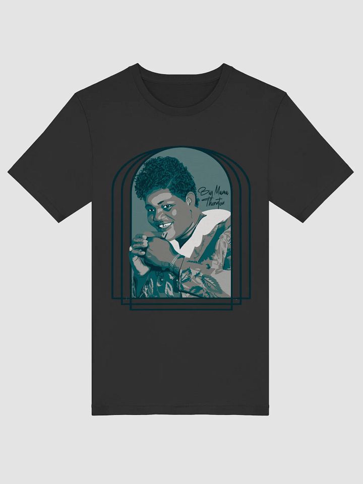 Big Mama Thornton: Where Rock Really Began product image (8)
