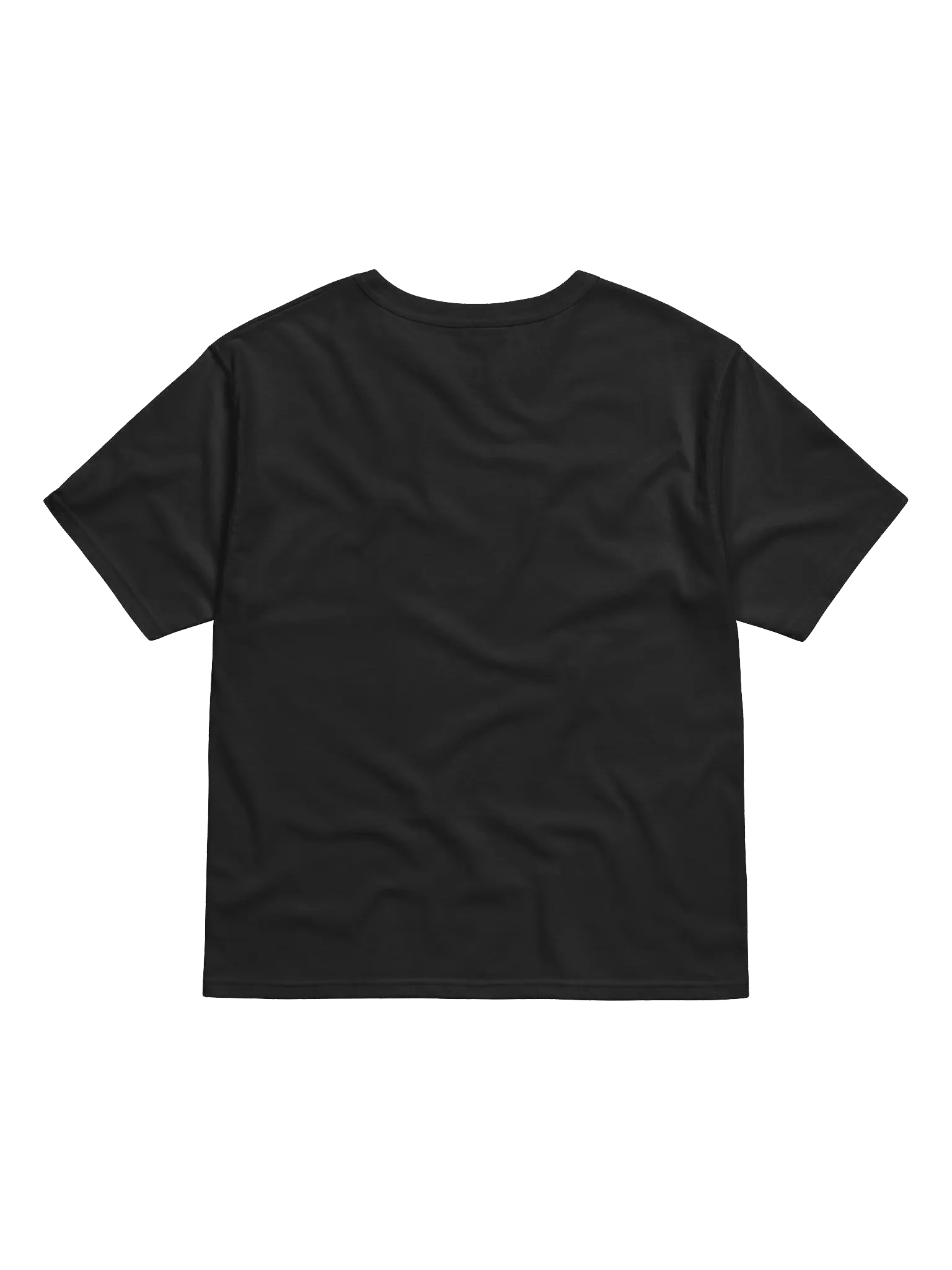 Steve the Snake Champion Tee product image (4)
