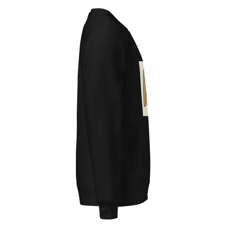Alfie Sweatshirt product image (6)