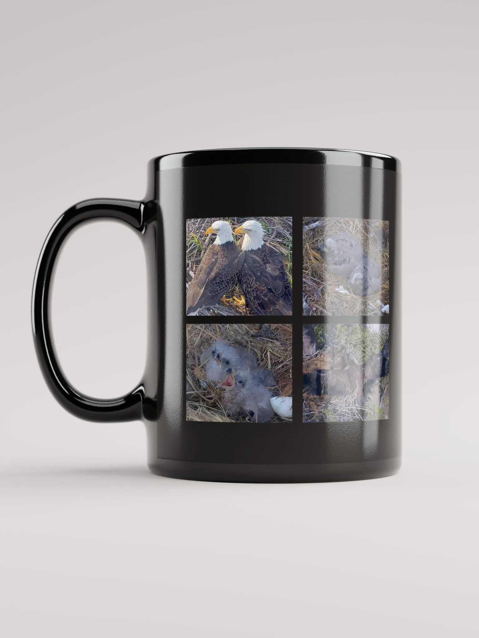 Moments | Black Mug | Captiva Eagle Cam 2024-2025 product image (6)