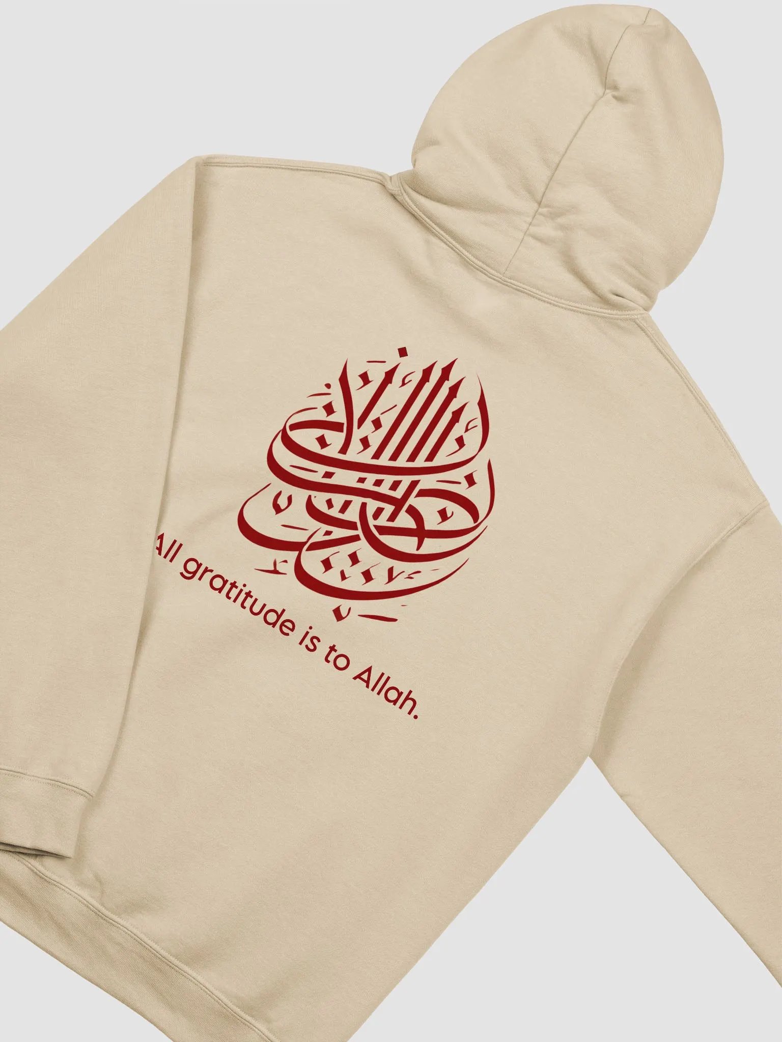 ZENURA Bold Classic Hoodie product image (4)