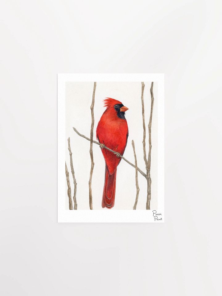 Cardinal print product image (1)