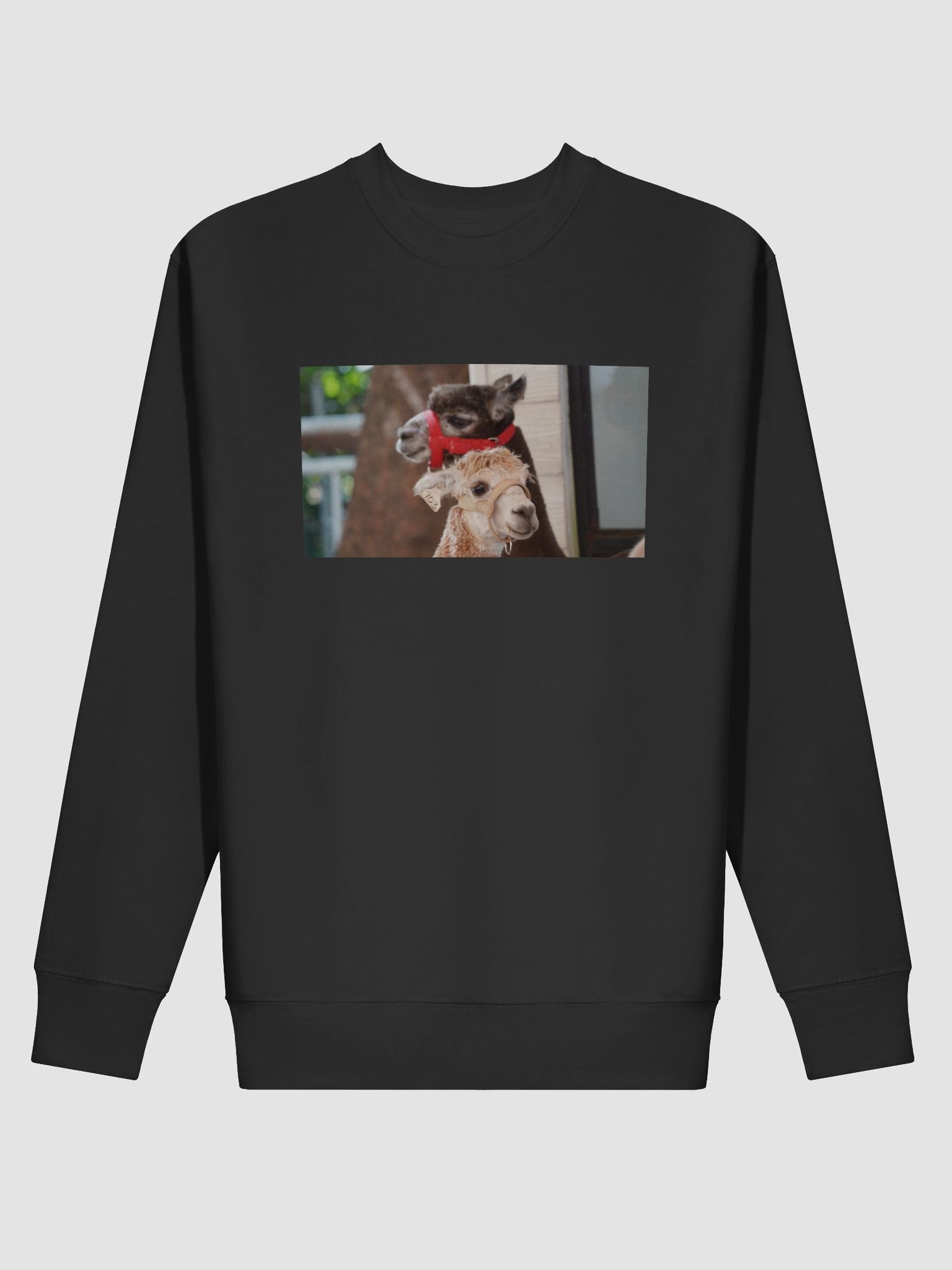 Alpaca Harmony Premium Sweatshirt product image (2)